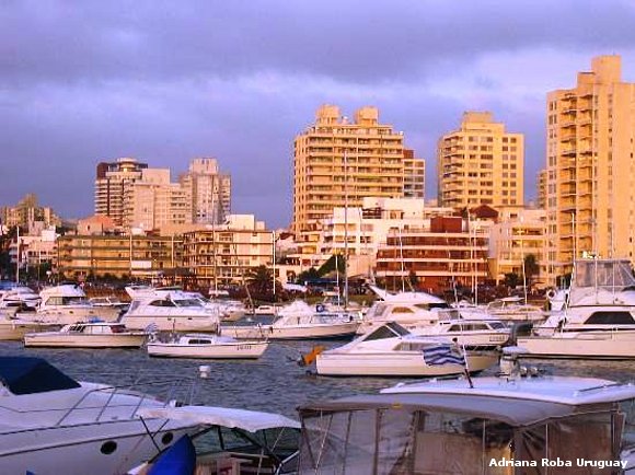 puerto de Punta del Este