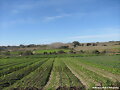 Montevideo Rural