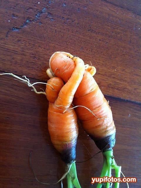 Un par de zanahorias abrazándose