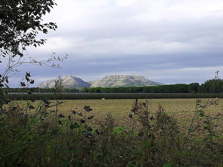 El macizo del Montgrí ...,