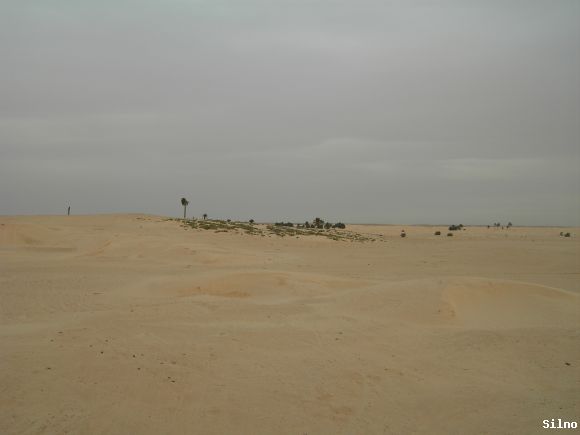 desierto...mucha arena