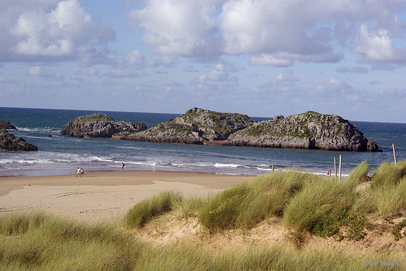 El vivero de la playa de Ris, Noja (Cantabria)