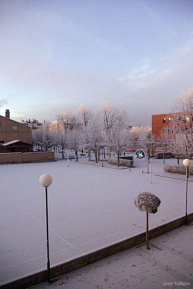 Tremenda helada en Covaresa, Valladolid