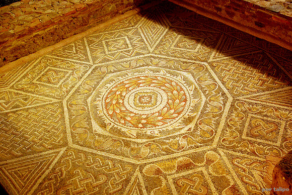 Mosaico en la Villa de la Olmeda