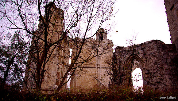 Ruinas del monasterio de San Antón