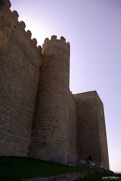 Castillo de Montealegre I