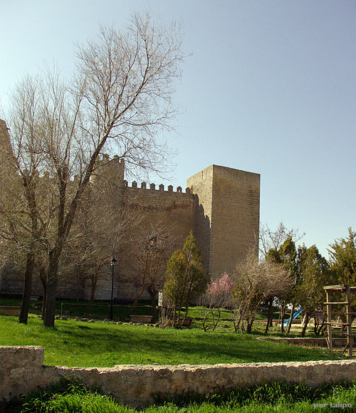 Castillo de Montealegre III