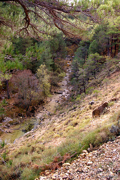 Alto valle del Guadalquivir
