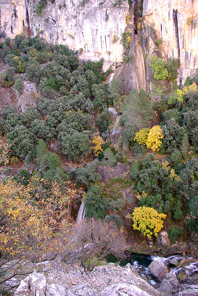 La Cascada de Linarejo