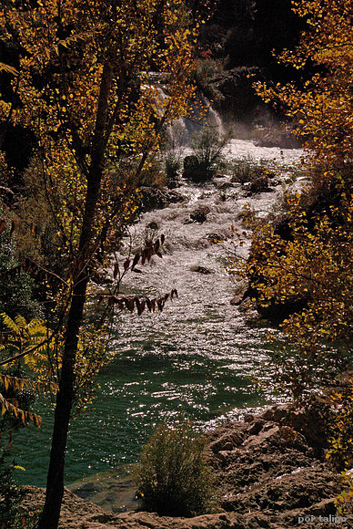 El río Borosa