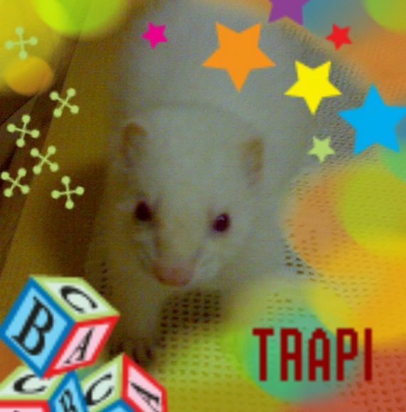 trapy