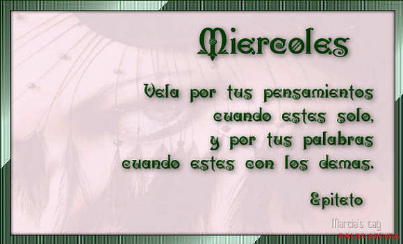 UNA BELLA FRASE