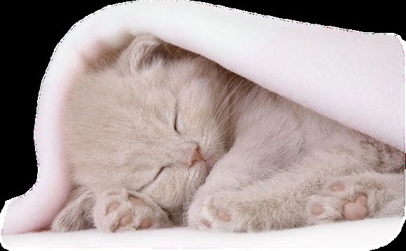 TENGO SUEÑO