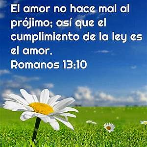Integridad de Ley Y Gracia.