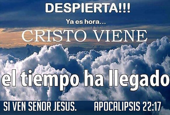 Cristo Vive