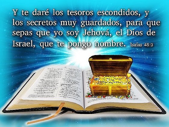 El Valor de la Vida
