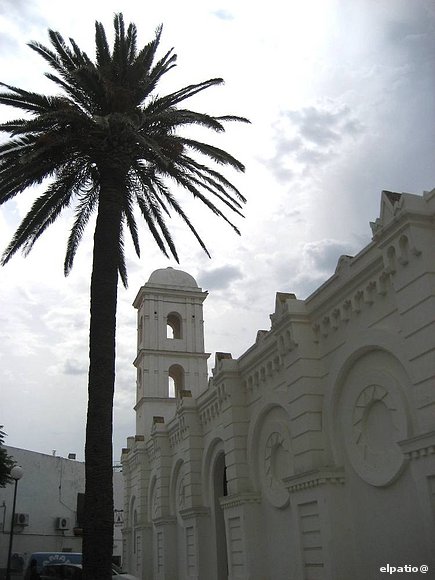 La palmera