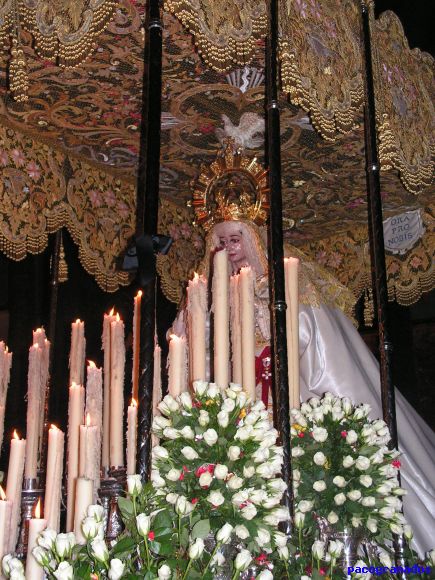 paz 2008