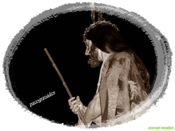 sentencia 2008