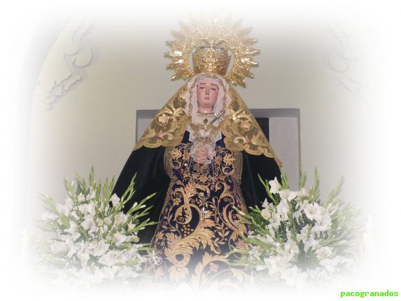 mayor dolor 2008