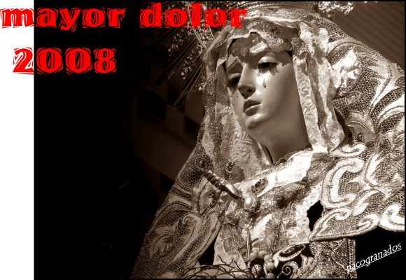 mayor dolor 2008