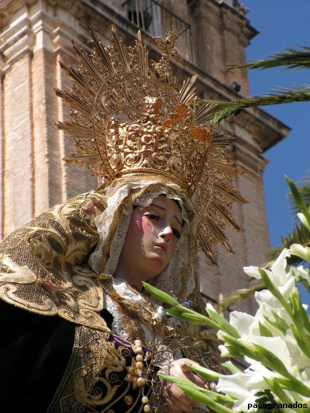 mayor dolor 2008