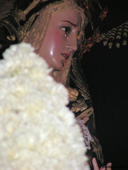 dolores 2008