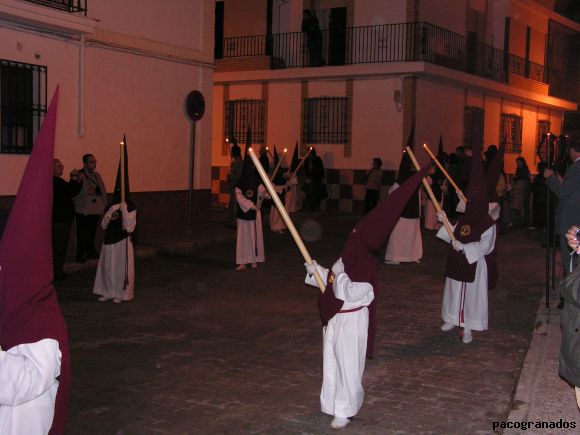 columna 2008