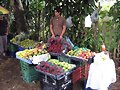 Frutas Costa Rica