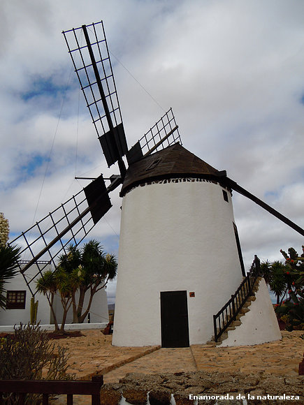 Molino de Antigua- Isla de Fuerteventura