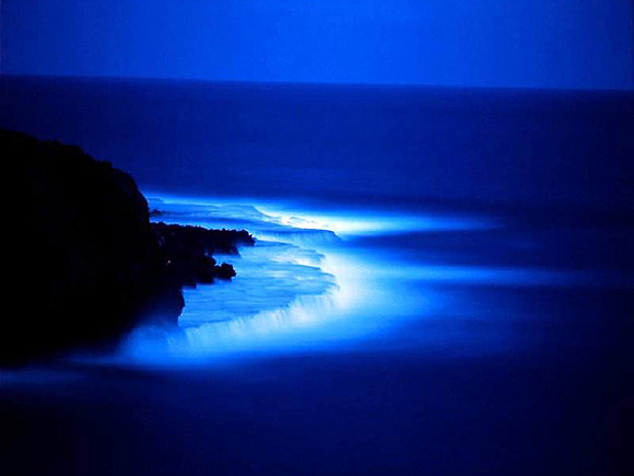 Noche Azul
