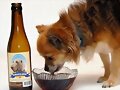 bebidas para perros