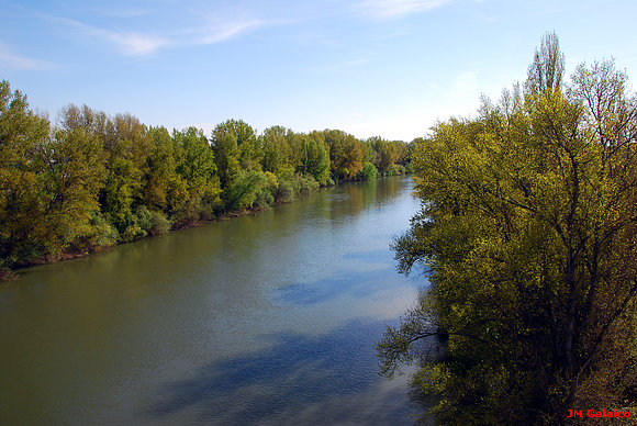 EL PISUERGA A SU PASO POR LA VEGA. VALLADOLID