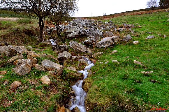 NACIMIENTO DEL RIO MIÑO . EL PEDREGAL DE IRIMIA