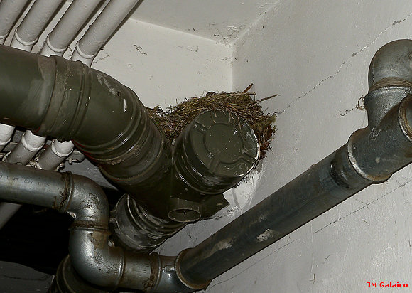 EJEMPLO DE ADAPTACION - El fotolog de jm-lopez