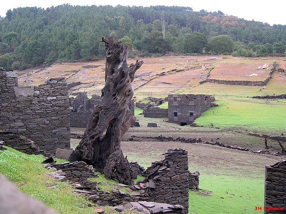 NATURALEZA VIVA Y NATURALEZA MUERTA