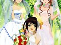 Haruhi trio- wedding