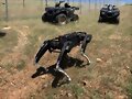 Perros robot
