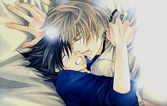 Junjou Romantica!