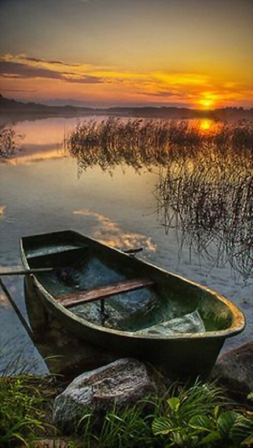 REFLEJOS