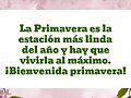 BUENOS DIAS