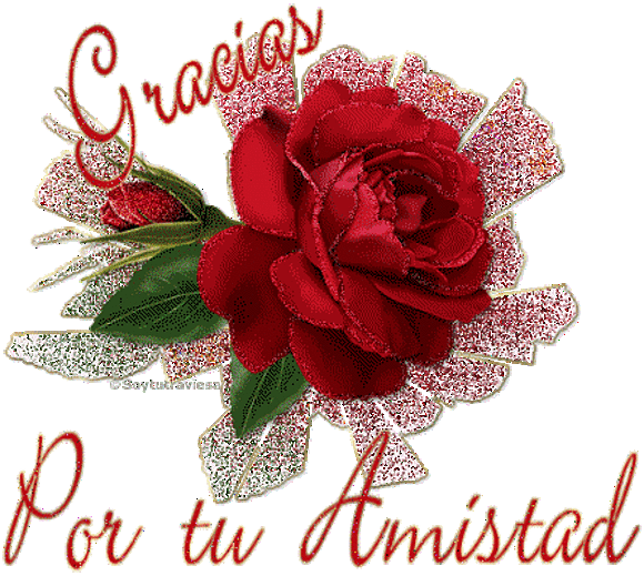 AMISTAD.COM