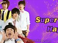 korean-pop.mforos.com