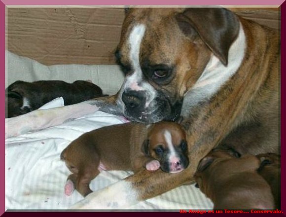 Sami and baby