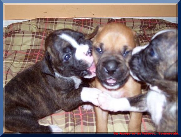 Babys