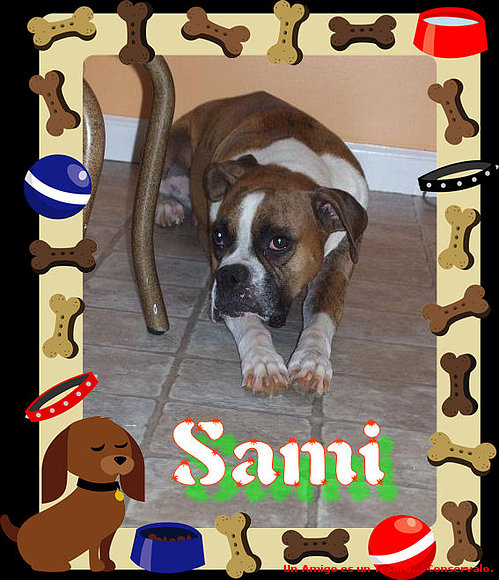 Sami