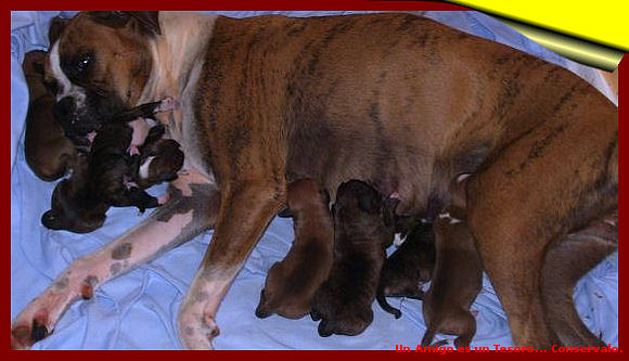 Sami and Babys