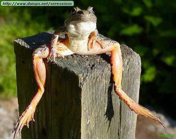 Don´t stop me now cause iám having a good time !!!