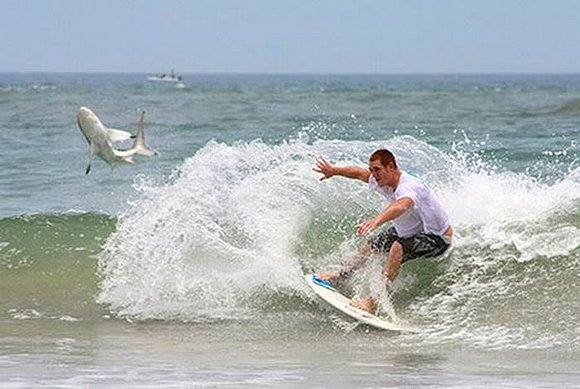 Surfeando