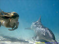 nadando kn un delfin :))
